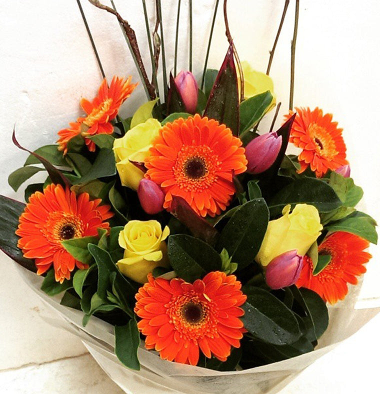 Jumping Gerberas