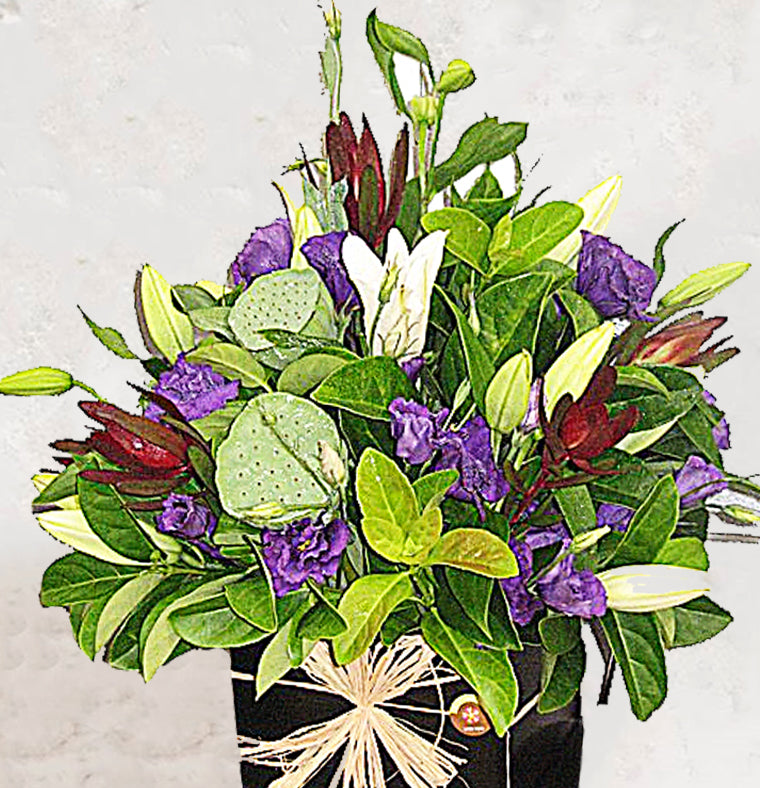 Sympathy Box