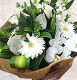 White Bouquet
