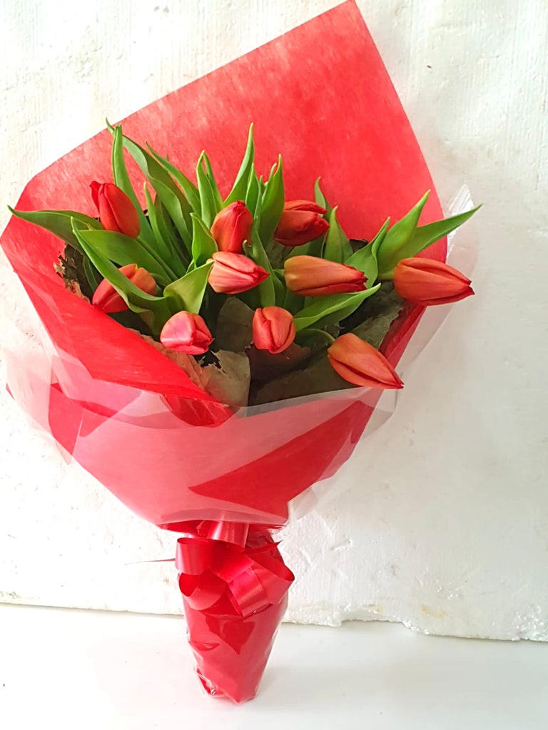 Valentine's Day Red Tulips