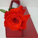 Boxed Single Red Rose