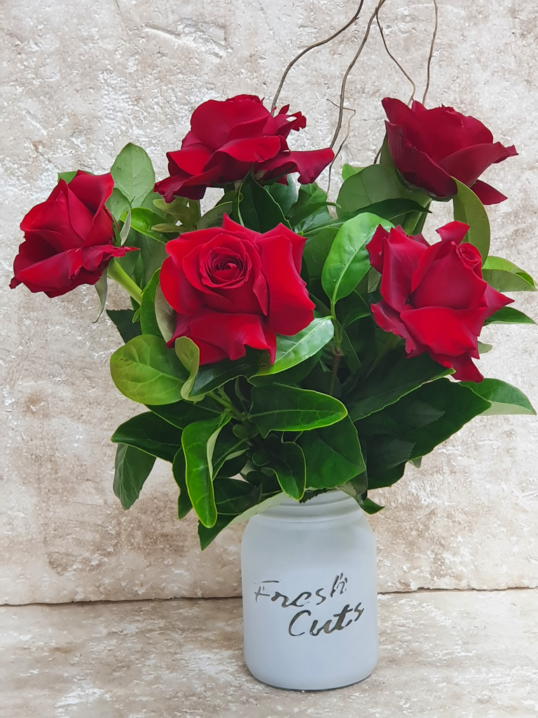Red Colombian Roses in White Gift Vase