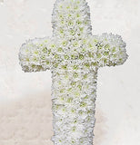 Chrysanthemum Cross