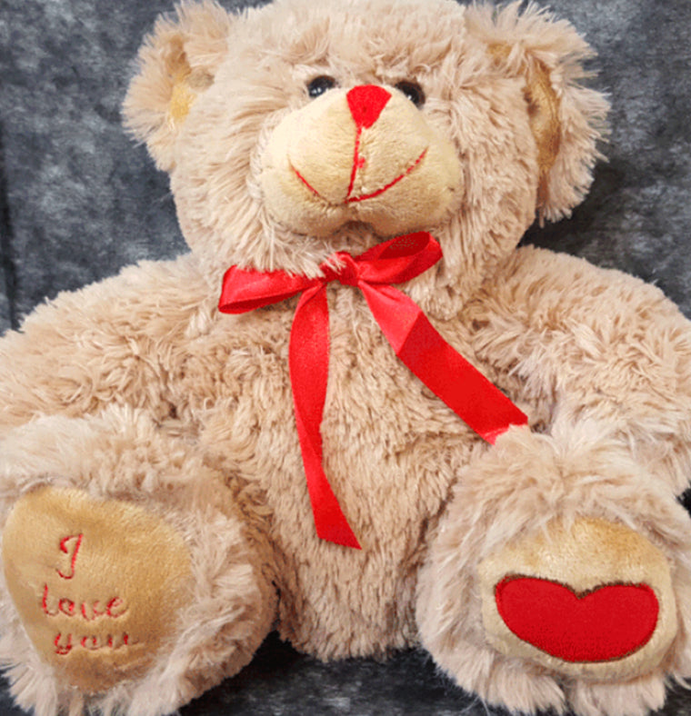 Valentines Bear