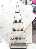 Large metal and glass succulent display frame